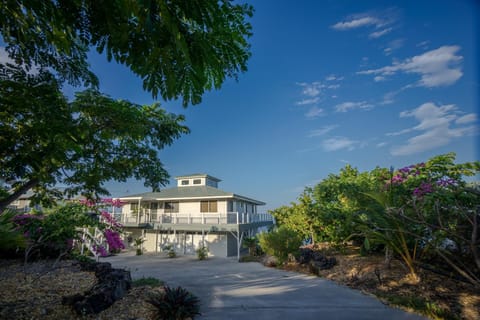 The Pineapple Palace House in South Kona