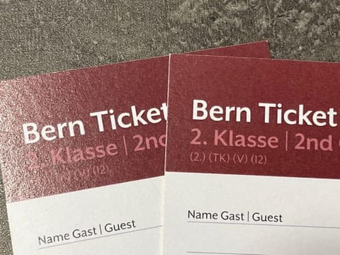 Central City - inkl Parking and Bern Ticket Apartment in City of Bern