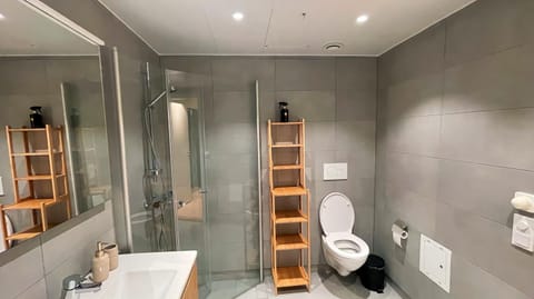 Shower, Toilet, Bathroom, towels