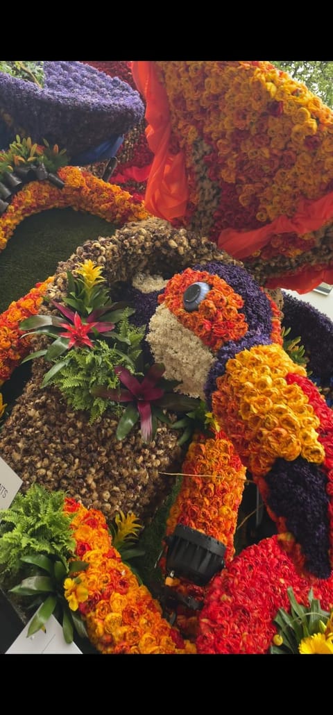 Il Mulino House B Apartment in South Holland (province)