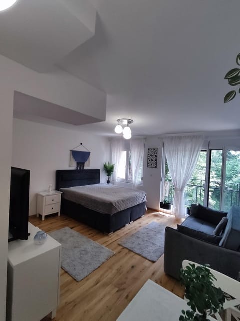 Bed, TV and multimedia, Living room, Photo of the whole room, Seating area, Bedroom