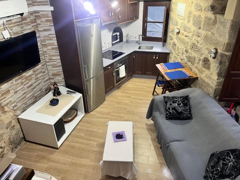 TV and multimedia, Kitchen or kitchenette, Living room, Seating area, Dining area, minibar, pet friendly, stove