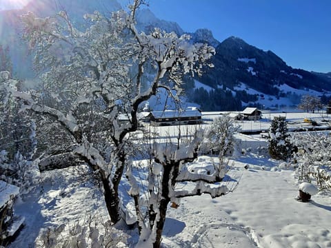 Nouveau à Rougemont - Gstaad Appartement dans Chalet 1830 Apartment in Saanen