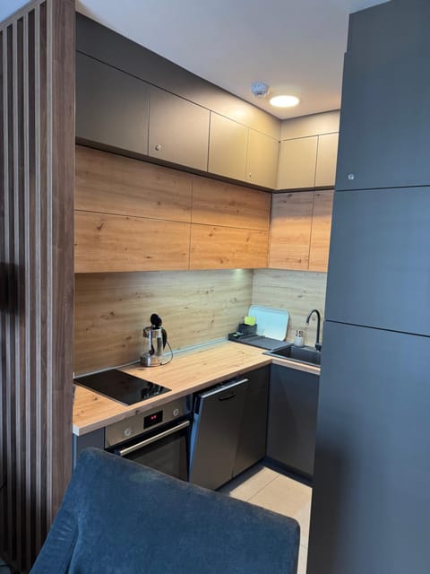 Zlatiborski biser lux apartmani Apartment in Zlatibor