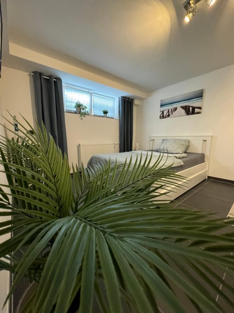 Bed, Living room, Photo of the whole room, Bedroom