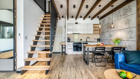 Kitchen or kitchenette, Living room, Dining area, stove