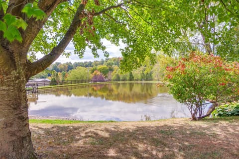 Meet Country Animals! Farmyard Stays Dundee Home House in Ohio