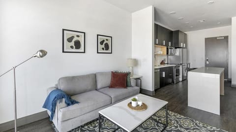 Landing Modern Apartment with Amazing Amenities (ID1381X635) Apartment in The Colony