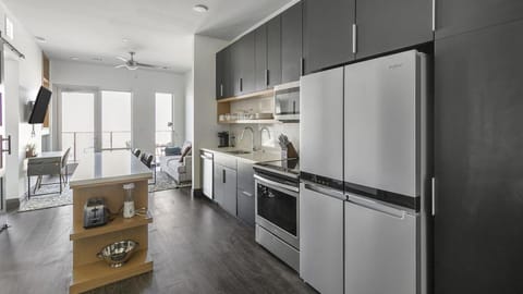 Landing Modern Apartment with Amazing Amenities (ID1381X635) Apartment in The Colony