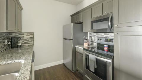Landing Modern Apartment with Amazing Amenities (ID1272X140) Apartment in Rosenberg