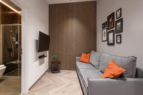 Bathroom, TV and multimedia, Living room, Photo of the whole room, Seating area