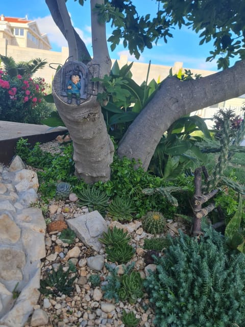 Studio Sofia Apartment in Novalja