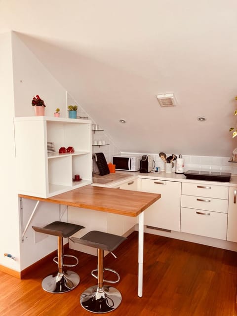Kitchen or kitchenette, kitchen