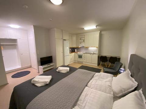 Bed, TV and multimedia, Kitchen or kitchenette, Photo of the whole room, wardrobe