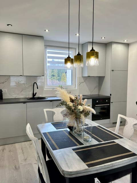 Kitchen or kitchenette, Dining area, stove