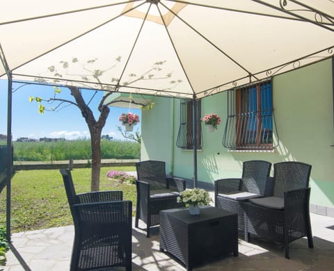 Patio, Garden, Garden view