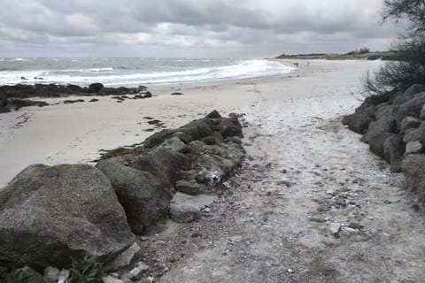 La palmeraie de brévy House in Normandy