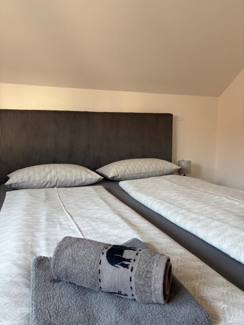 Prenoćište Šimić Apartment in Slavonski Brod