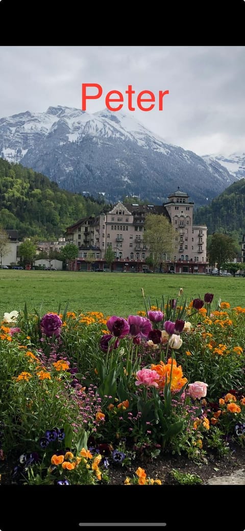 APARTMENT PETER Apartment in Interlaken