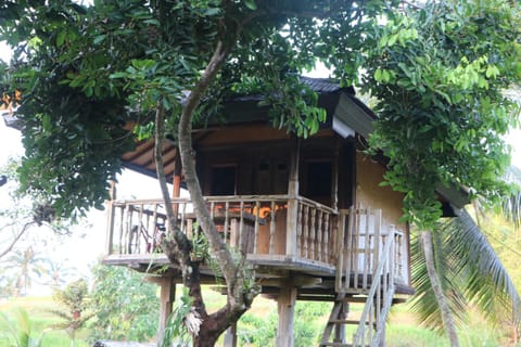 Property building, Garden view
