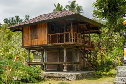 Property building, Garden view