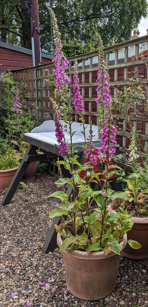 Peaceful Getaway In Peebles House in England