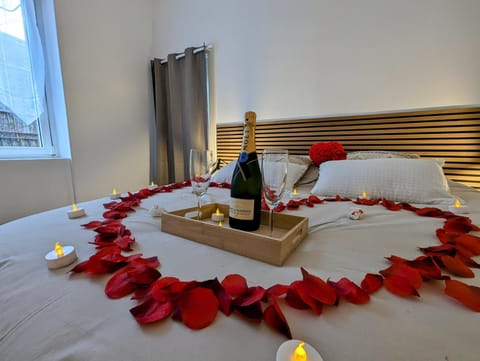 Logement complet Dijon Centre jusqu'à 6 couchages Apartment in Dijon