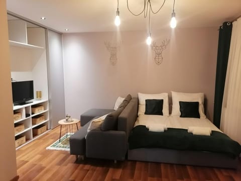 Communal lounge/ TV room, Bed, TV and multimedia, Seating area, Evening entertainment, Bedroom, towels