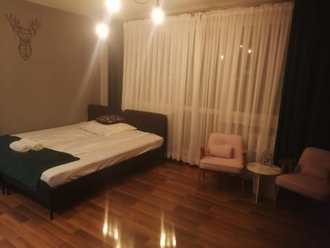 Bed, Living room, Photo of the whole room, Seating area