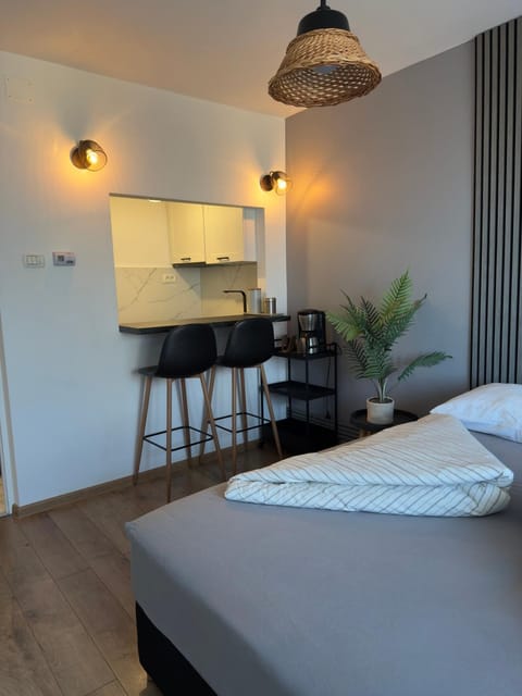 Victoria 1 Room Apartment- Self Check in 24h Apartment in Timiș County