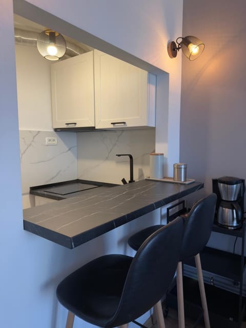 Victoria 1 Room Apartment- Self Check in 24h Apartment in Timiș County