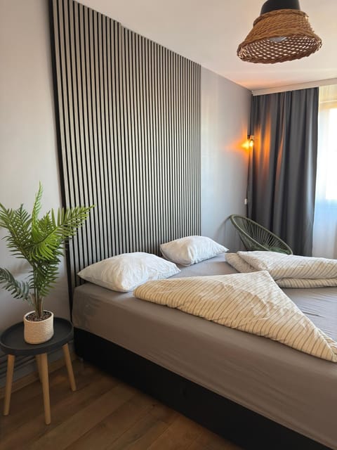 Victoria 1 Room Apartment- Self Check in 24h Apartment in Timiș County