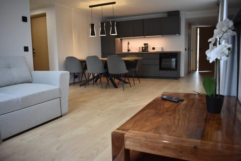Kitchen or kitchenette, Living room, Seating area, Dining area, stove