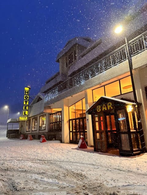 Property building, Night, Winter
