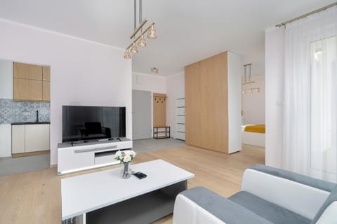 TV and multimedia, Kitchen or kitchenette, Living room, Seating area, Evening entertainment, wardrobe