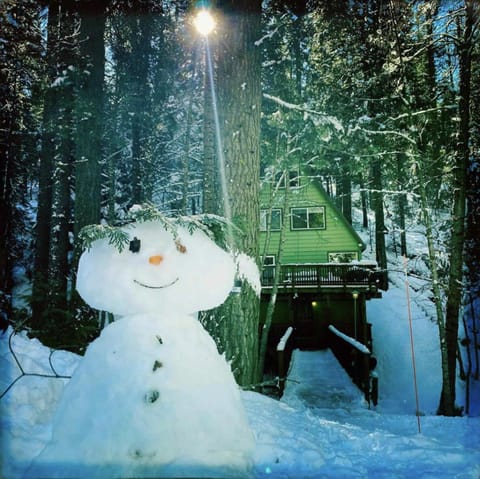 Big Cabin on the Creek Cabin in Dorrington