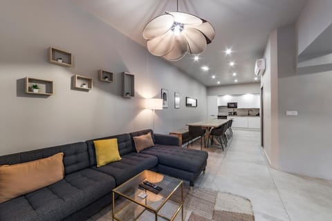 MAISON LE GRATTE CIEL - séminaire ou famille, salle de réunion, 8 chambres Clim, Jardin & Salle de sport Villa in Villeurbanne