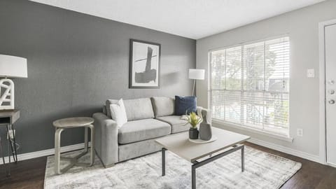 Landing Modern Apartment with Amazing Amenities (ID1243X397) Apartment in Baytown