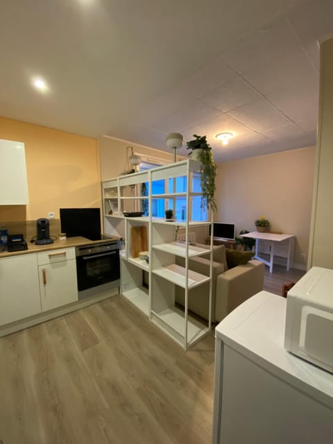 Communal lounge/ TV room, TV and multimedia, Kitchen or kitchenette, Living room, Seating area, Evening entertainment, minibar, oven