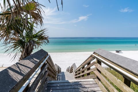 Cottage 62 House in Seagrove Beach