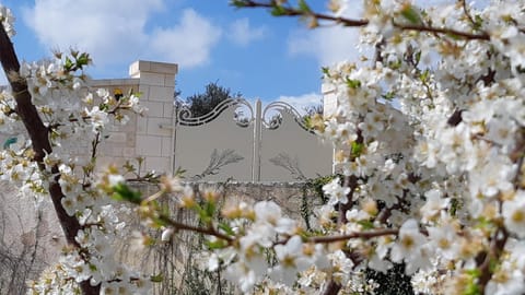 Spring