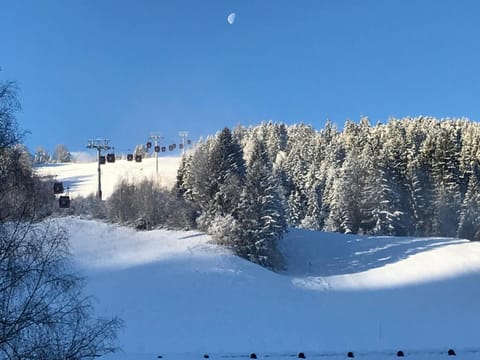 Natural landscape, Winter, View (from property/room), Mountain view