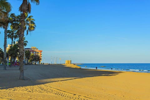 Day, People, Natural landscape, Beach, group of guests