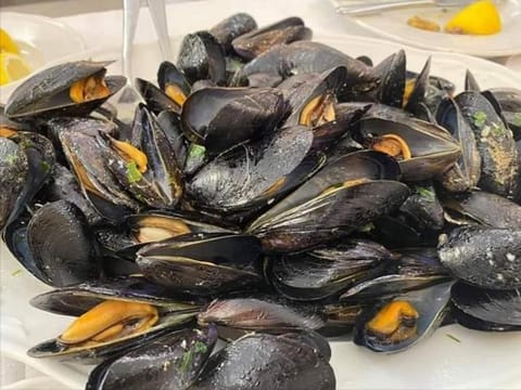 Sea & Culture San Terenzo -Lerici-300 m from the beach Apartment in Lerici