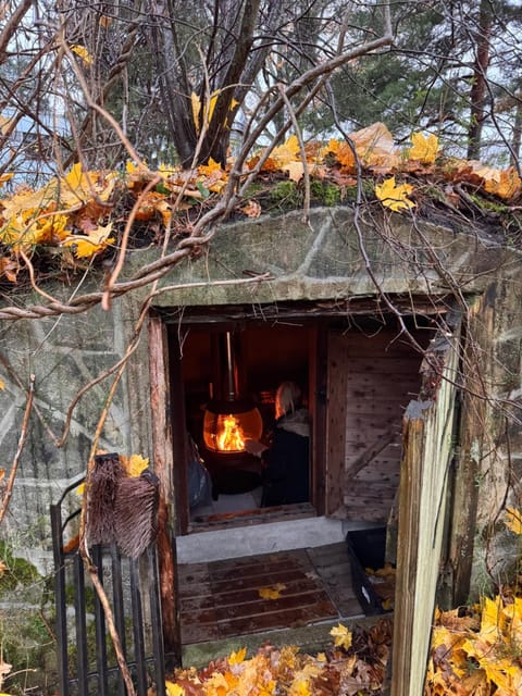 Suuri talo Kaskisaaressa lähellä Helsingin keskustaa Villa in Helsinki