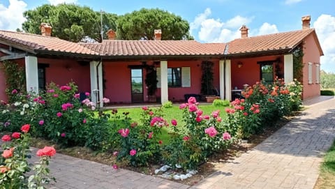 Property building, Spring, Garden, Garden view