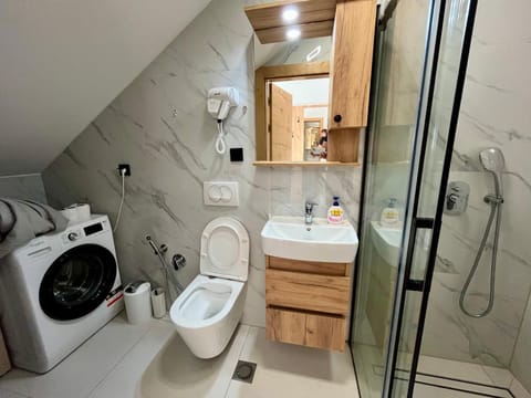 Shower, Toilet, Bathroom, bidet, towels, washing machine, dryer