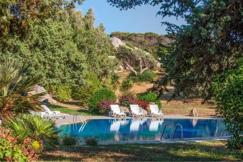 Garden, Garden view, Pool view