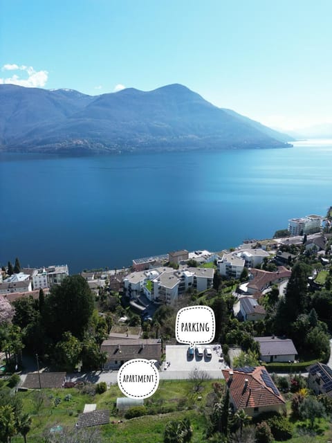 Lake view