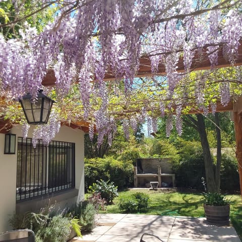 Property building, Spring, Garden, Garden, Balcony/Terrace, Garden view